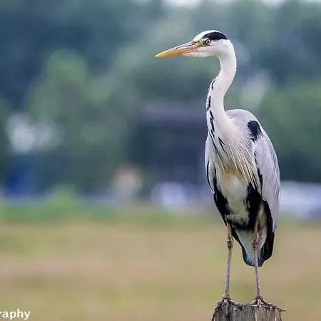 Au 339 Des Terrasses De 公寓