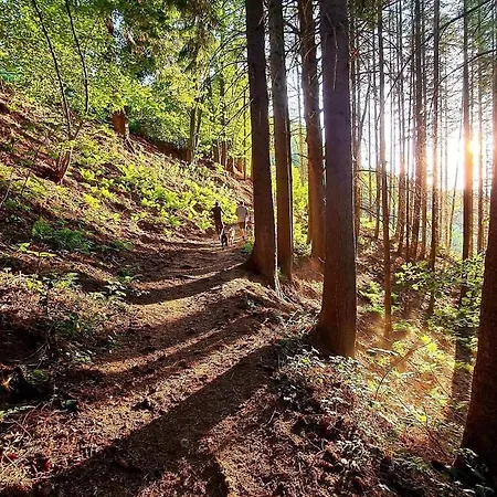 公寓 Au 339 Des Terrasses De *